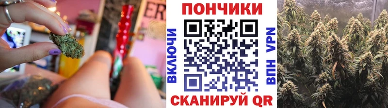 Конопля SATIVA & INDICA  продажа наркотиков  Нижний Ломов 